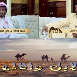 برنامج الابل واهلها – حلقة / فاطم الديحاني – اعداد وتقديم/ محمد بن وافي الزعبي